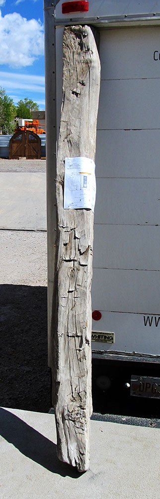 10130-01-Beam-10000723-f.jpg