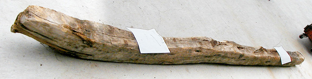 50517B_50517B.jpg