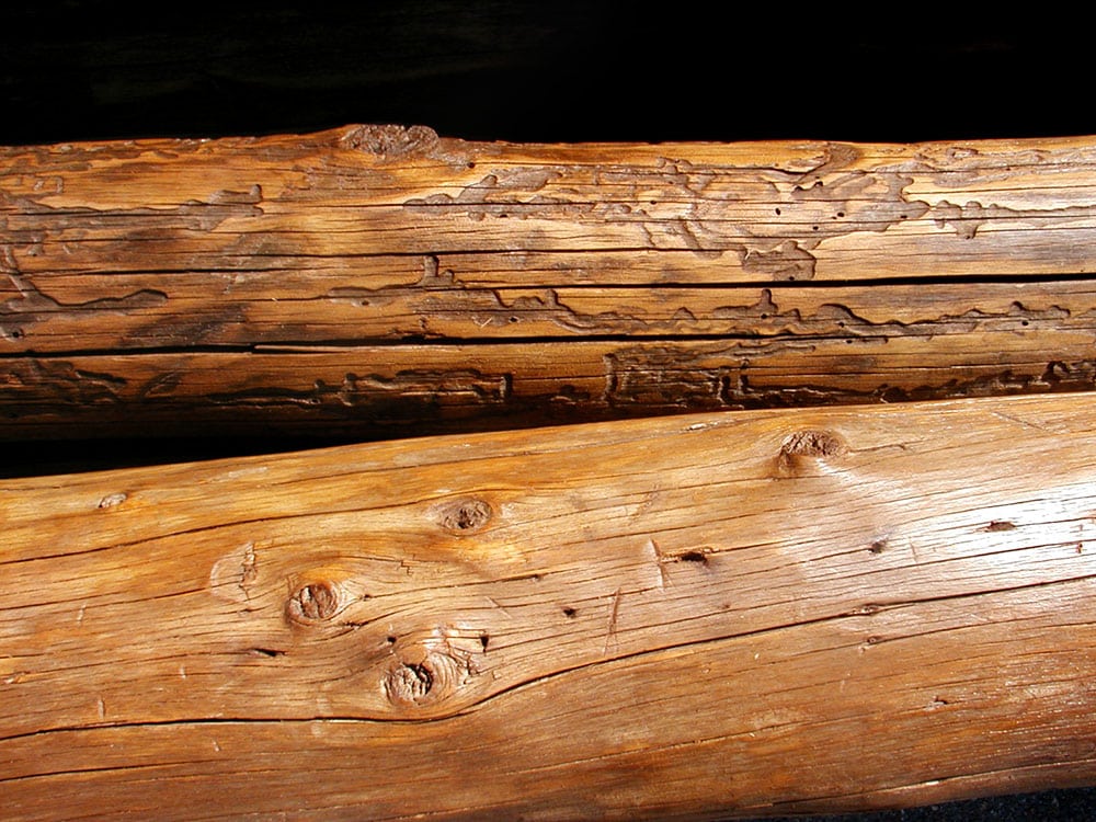 7210D-Beams-DET1.jpg