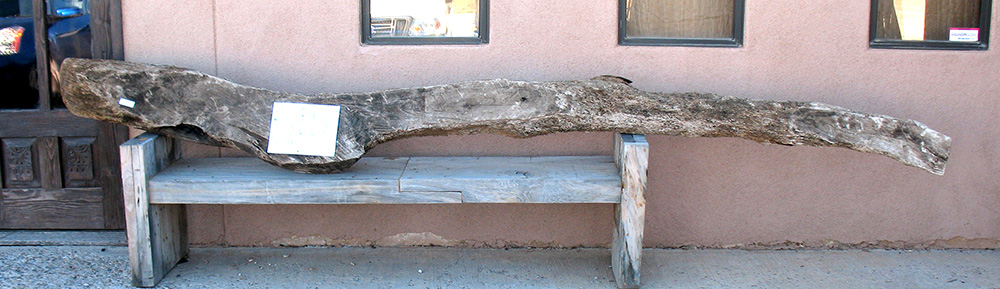 9445-03-Beam-um15000734.jpg